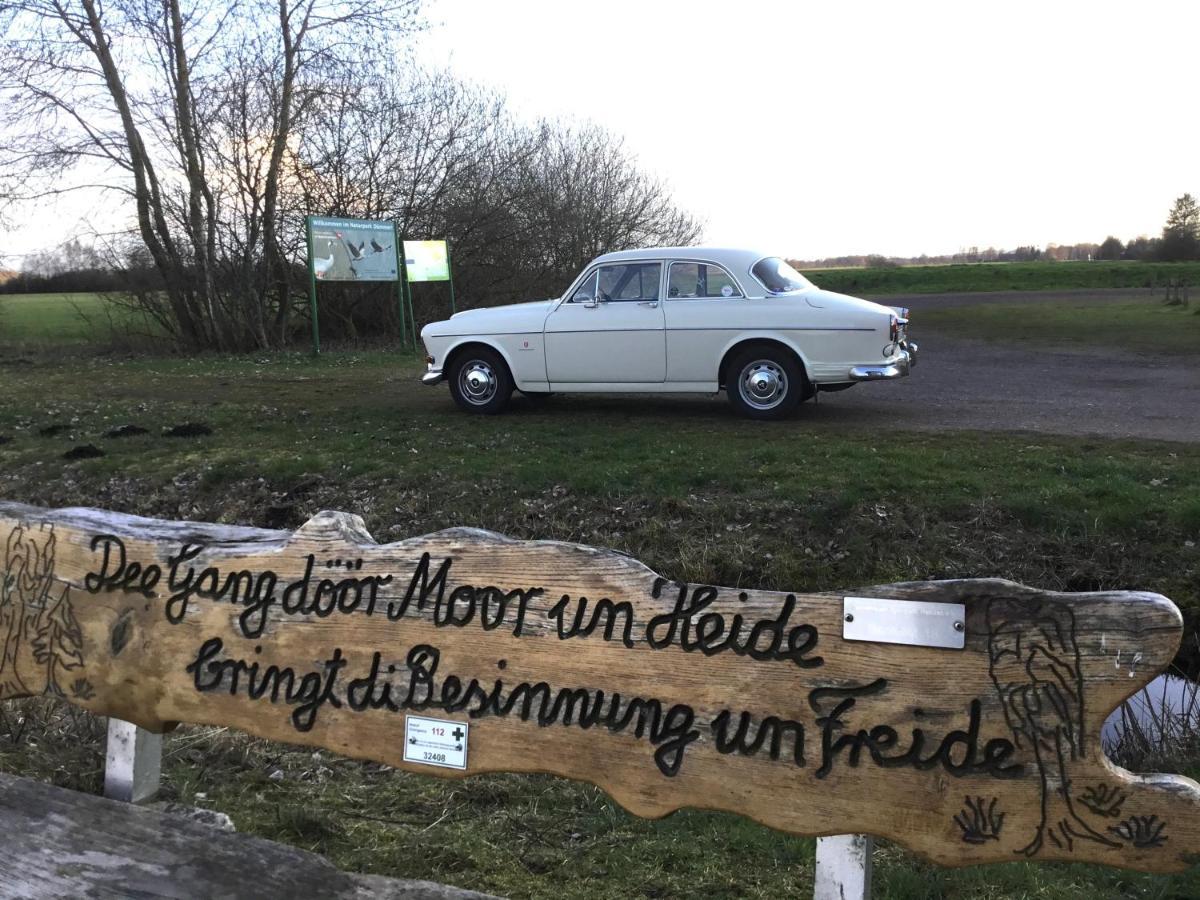 Kranich-Holzferienhaus 'Kleine Auszeit' Rehden 외부 사진